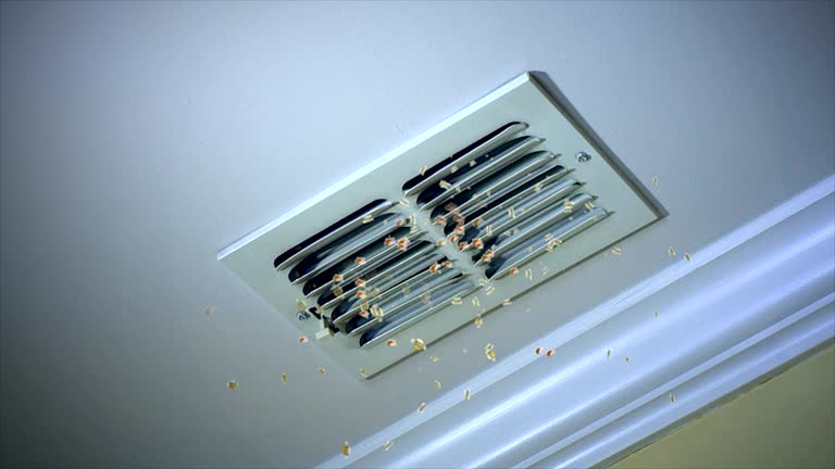 Best Commercial HVAC Duct Cleaning  in Brighton, MI