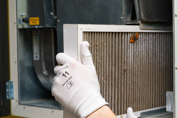 Best Affordable Air Duct Cleaning  in Brighton, MI